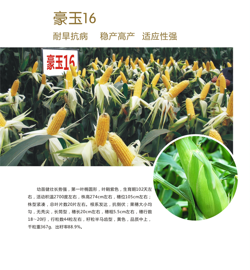 1589352589863082.png image.png